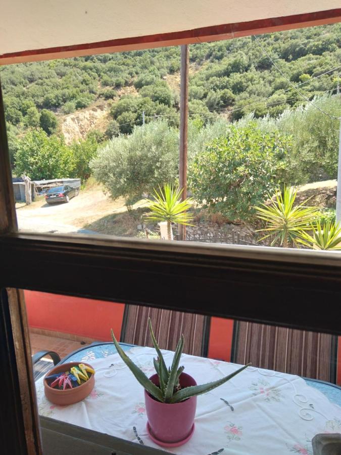 Maisonette Maria-For Tranquility Sykia Chalkidikis Luaran gambar